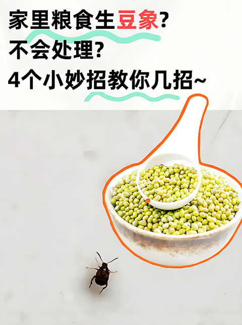 蚕豆�?(7).png