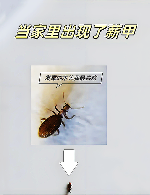 1747713854522.png 1747713854522.png